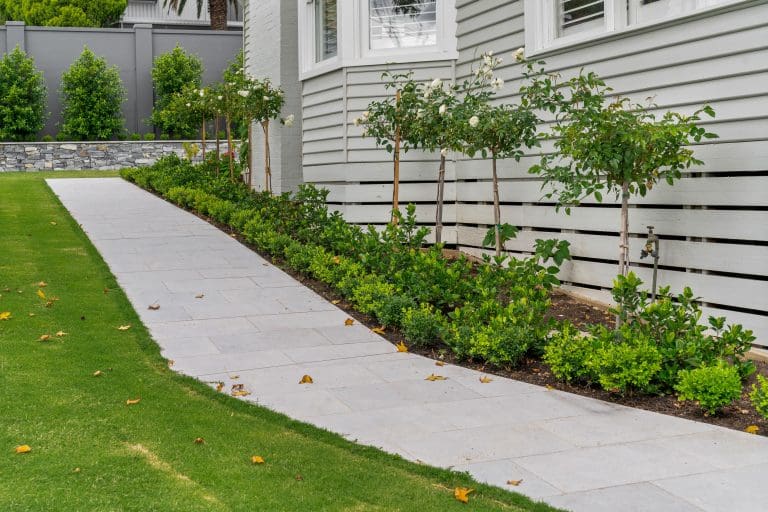 LONDON GREY SANDBLASTED LIMESTONE_RMS TRADERS_NATURAL STONE PAVERS & POOL COPING LIGHT GREY LIMESTONE SUPPLIER MELBOURNE (29)