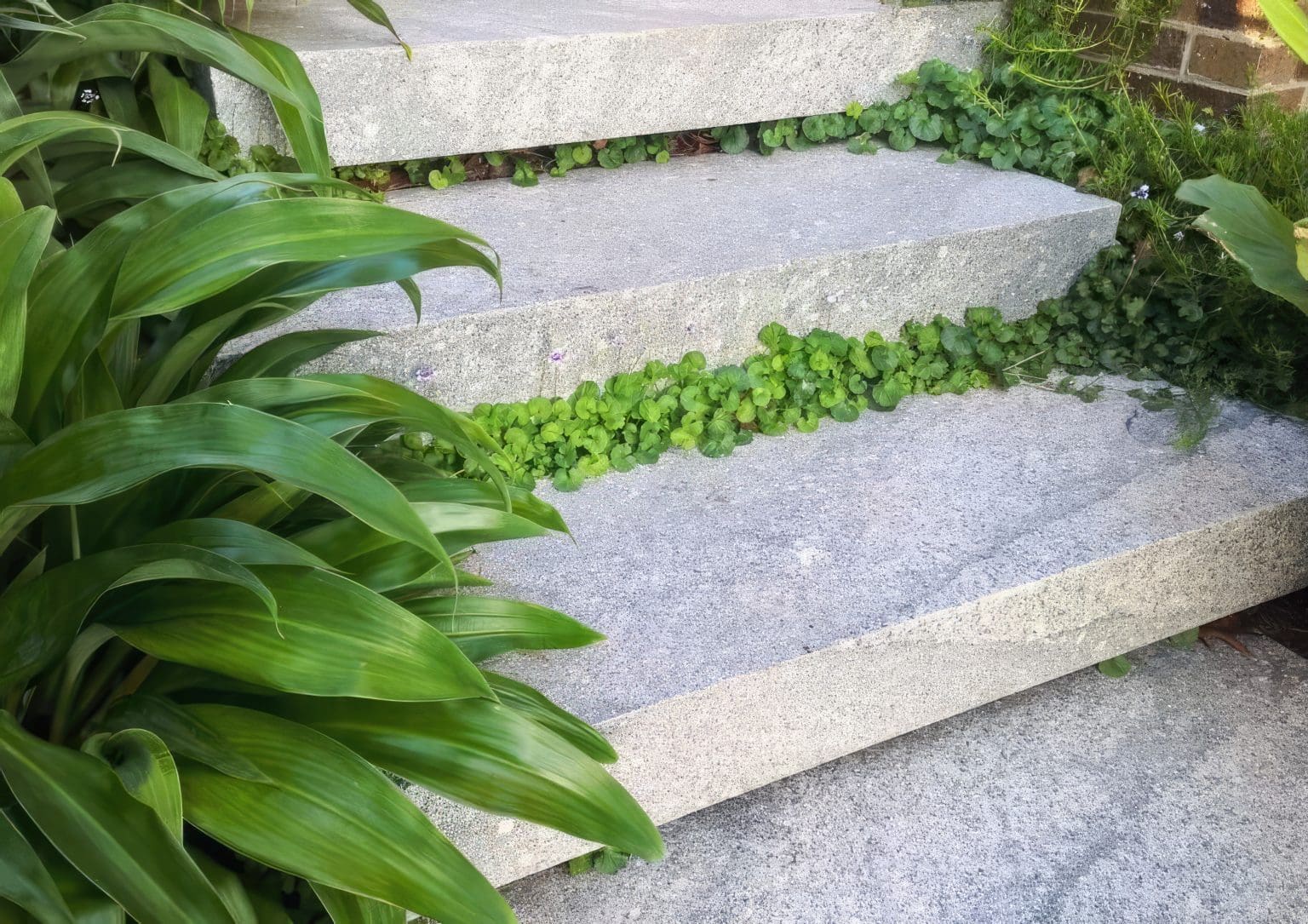 FANTASY GREY SANDBLASTED GRANITE_RMS TRADERS_NATURAL STONE PAVERS POOL COPING SUPPLIER MELBOURNE (1)-gigapixel-standard-scale-4_00x