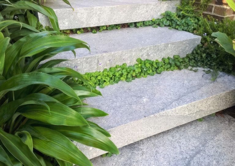 FANTASY GREY SANDBLASTED GRANITE_RMS TRADERS_NATURAL STONE PAVERS POOL COPING SUPPLIER MELBOURNE (1)-gigapixel-standard-scale-4_00x