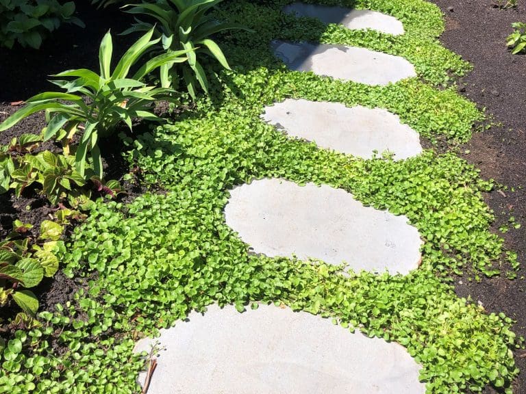 BLUESTONE PREMIUM STEPPERS_RMS TRADERS_NATURAL STONE SUPPLIER MELBOURNE (45)xx