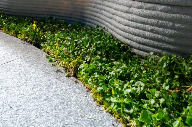 ASH GREY FLAMED GRANITE_RMS TRADERS_NATURAL STONE PAVER & POOL COPING LIGHT GREY SUPPLIER MELBOURNE (1)xx