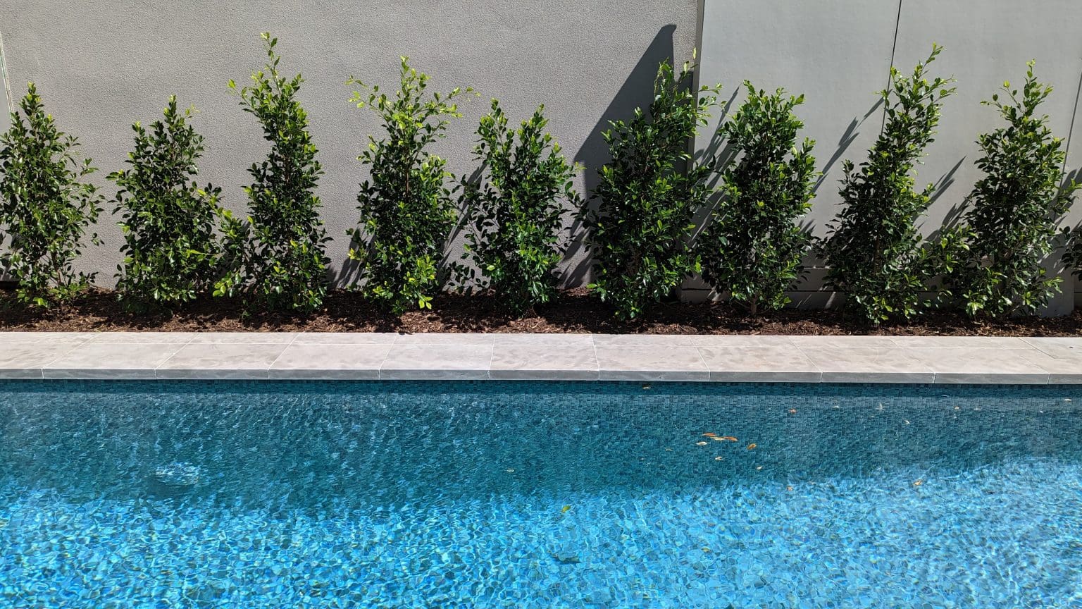 MADDISON BRUSHED & TUMBLED LIMESTONE_RMS TRADERS_NATURAL STONE GREY PAVERS POOL COPING TILES SUPPLIER MELBOURNE (34)