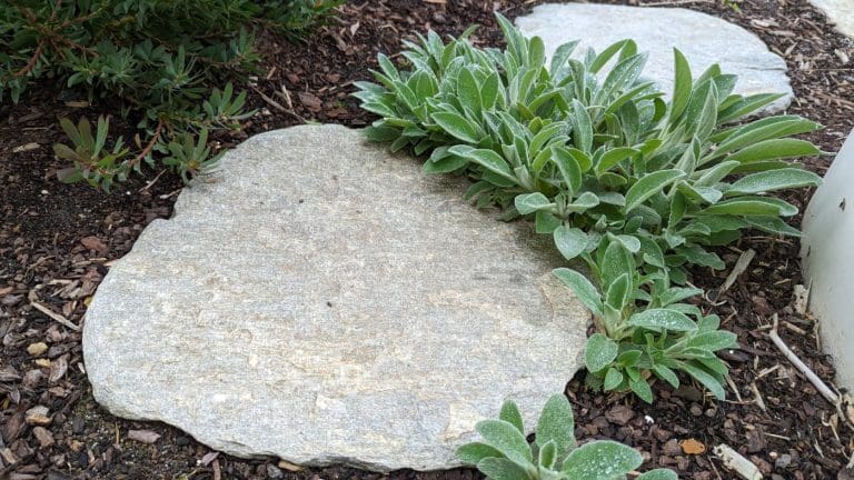 LODEN-QUARTZ-STEPPING-STONE_RMS-TRADERS_NATURAL-STONE-PAVERS-STEEPING-STONE-SUPPLIER-MELBOURNE-1-scaled