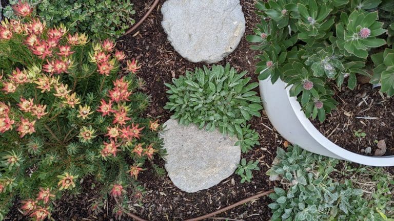 LODEN-QUARTZ-STEPPING-STONE_RMS-TRADERS_NATURAL-STONE-PAVERS-STEEPING-STONE-SUPPLIER-MELBOURNE-2-scaled