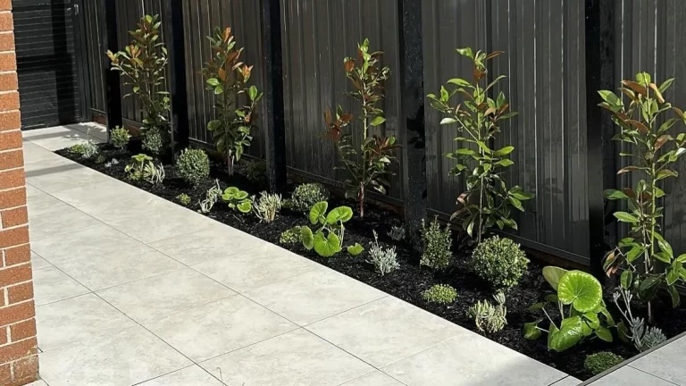 ASCOT_WHITE_PORCELAIN_PAVERS_RMS_TRADERS_MELBOURNE_NATURAL_STONE_SUPPLIER_01