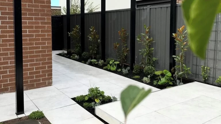 ASCOT_WHITE_PORCELAIN_PAVERS_RMS_TRADERS_MELBOURNE_NATURAL_STONE_SUPPLIER_04