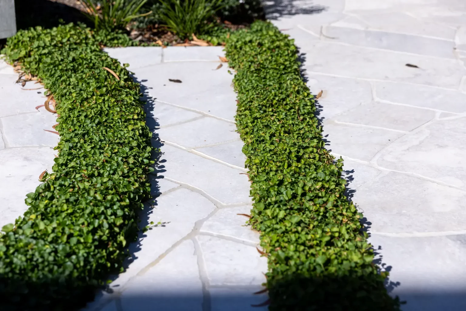 5_VERNON_PROJECT_RMS_TRADERS_NATURAL_STONE_SUPPLIER_MELBOURNE_091