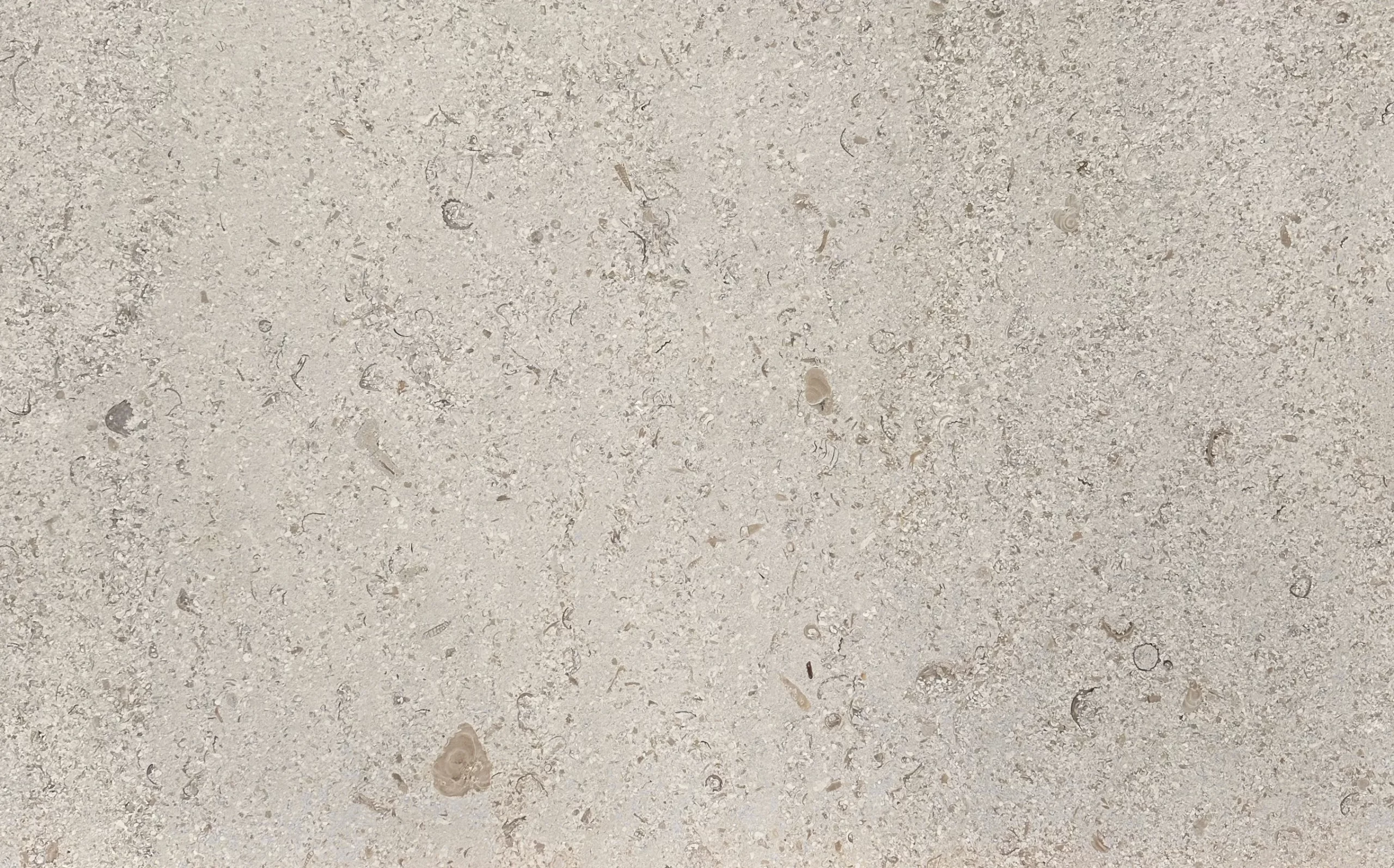 PORTOFINO BEIGE BRUSHED LIMESTONE RMS TRADERS NATURAL STONE SUPPLIER MELBOURNE 001 Natural Stone - RMS Traders