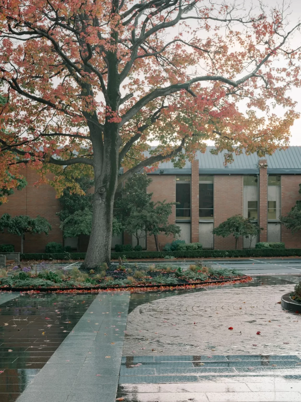 STAR_OF_THE_SEA_COLLEGE_RMS_TRADERS_NATURAL_STONE_SUPPLIER_MELBOURNE (1)