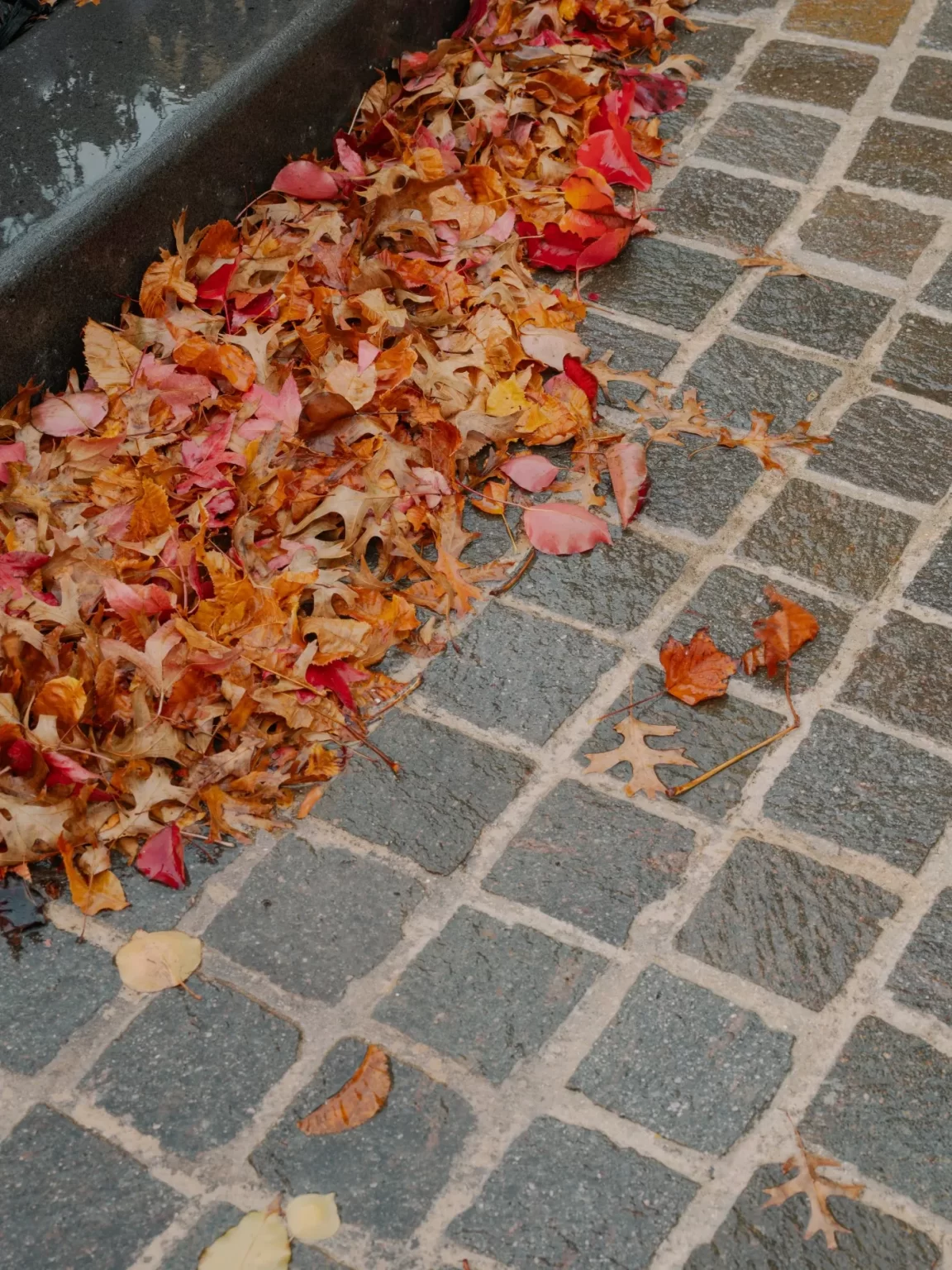 STAR_OF_THE_SEA_COLLEGE_RMS_TRADERS_NATURAL_STONE_SUPPLIER_MELBOURNE (16)