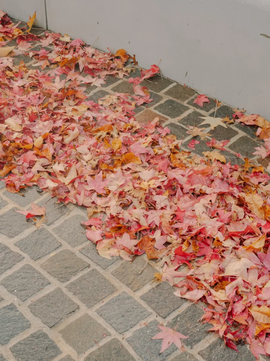 STAR_OF_THE_SEA_COLLEGE_RMS_TRADERS_NATURAL_STONE_SUPPLIER_MELBOURNE (21)