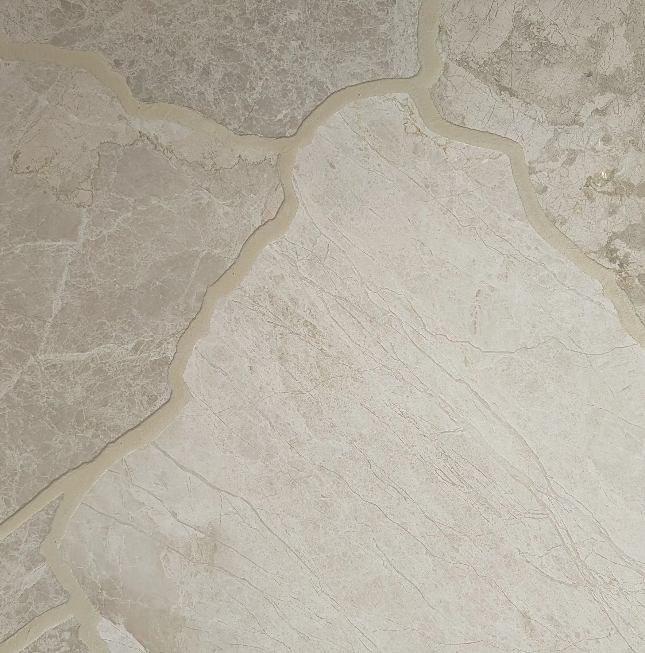 Papillon Crazy Paving