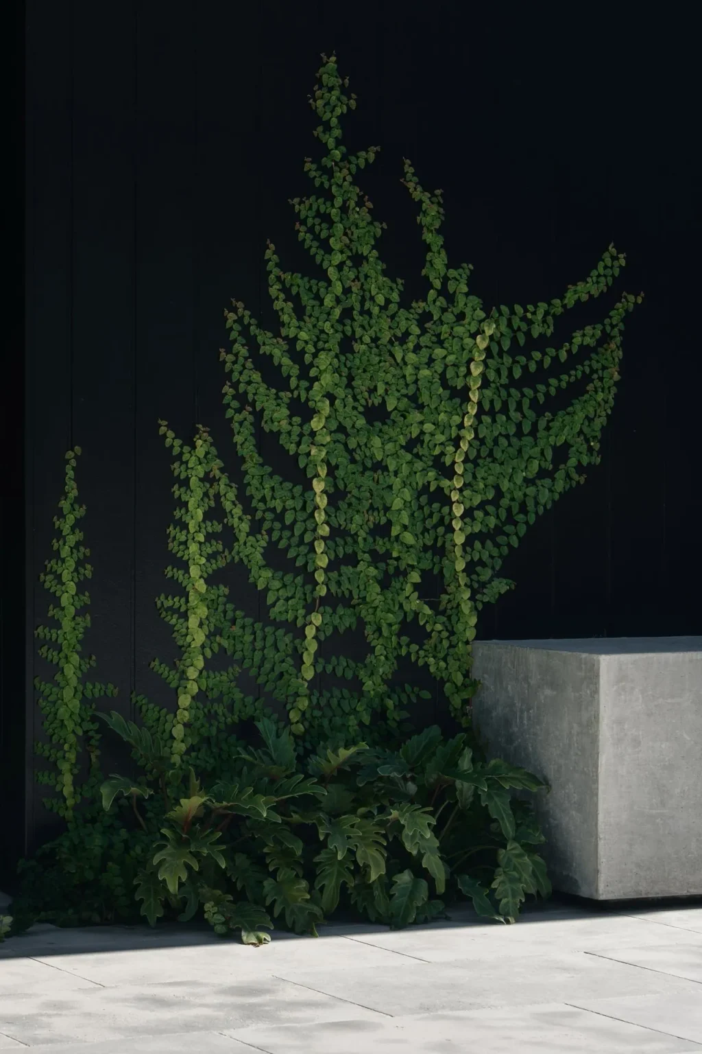 VINE_PROJECT_RMS_TRADERS_NATURAL_STONE_SUPPLIER_MELBOURNE_006