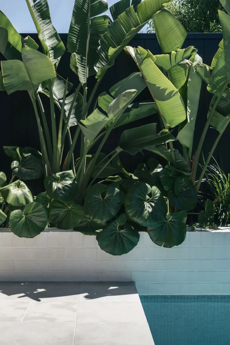 VINE_PROJECT_RMS_TRADERS_NATURAL_STONE_SUPPLIER_MELBOURNE_020