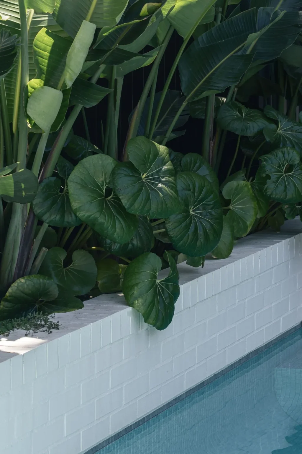 VINE_PROJECT_RMS_TRADERS_NATURAL_STONE_SUPPLIER_MELBOURNE_023