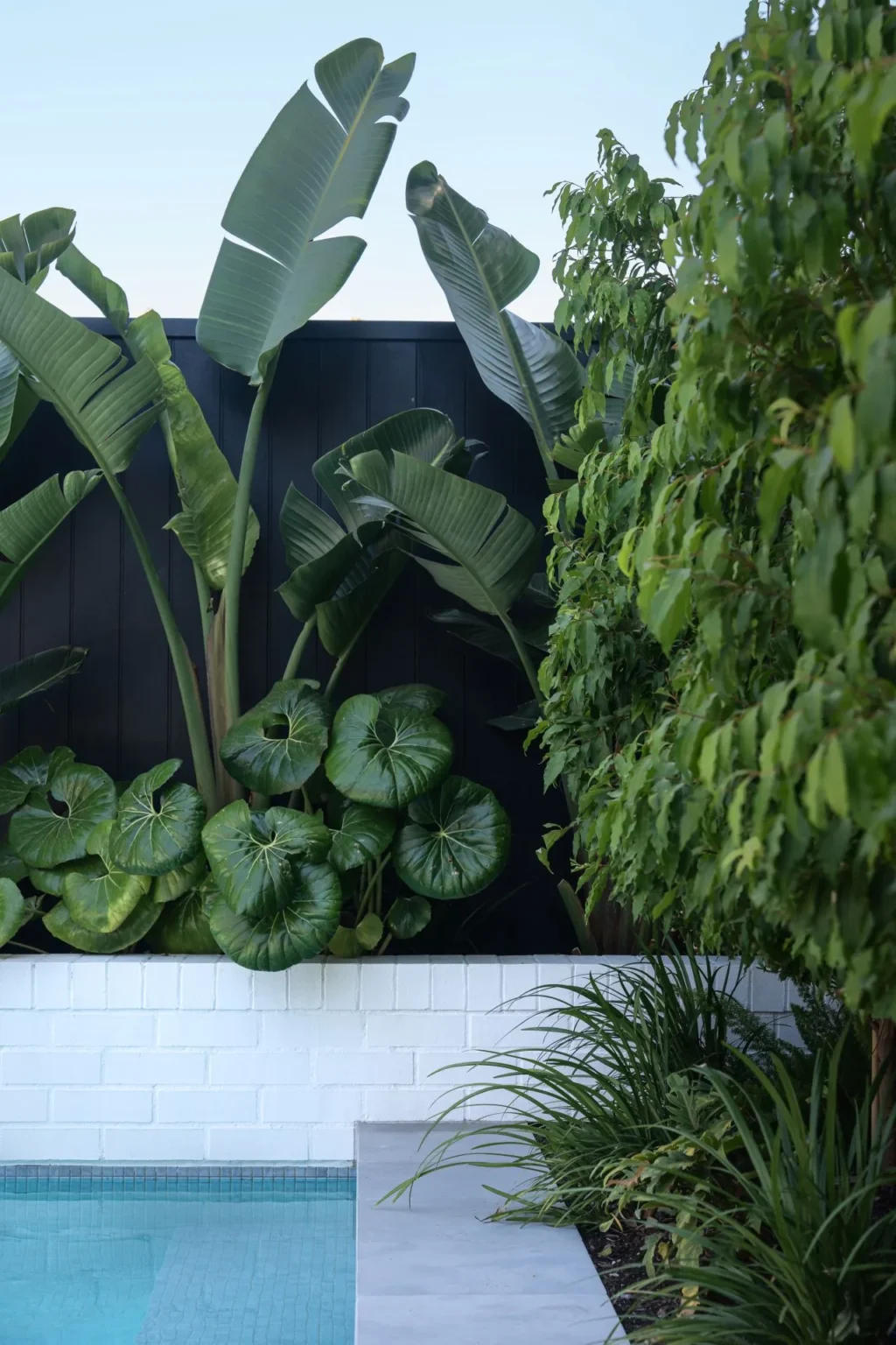 VINE_PROJECT_RMS_TRADERS_NATURAL_STONE_SUPPLIER_MELBOURNE_025