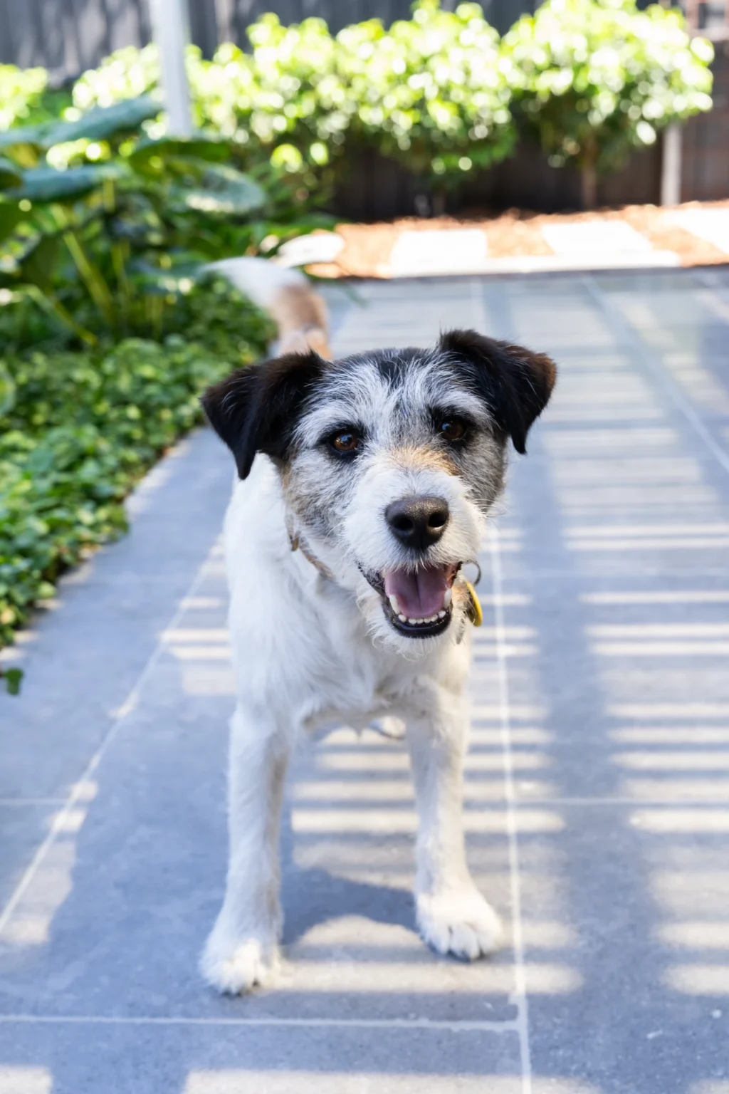 CHARLIES_HOUSE_PROJECT_RMS_TRADERS_NATURAL_STONE_SUPPLIER_MELBOURNE_### (73)