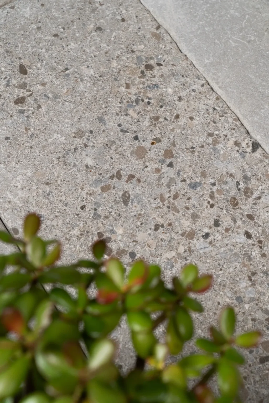 CASTLE_GREY_RMS_TRADERS_NATURAL_STONE_SUPPLIER_MELBOURNE (1)