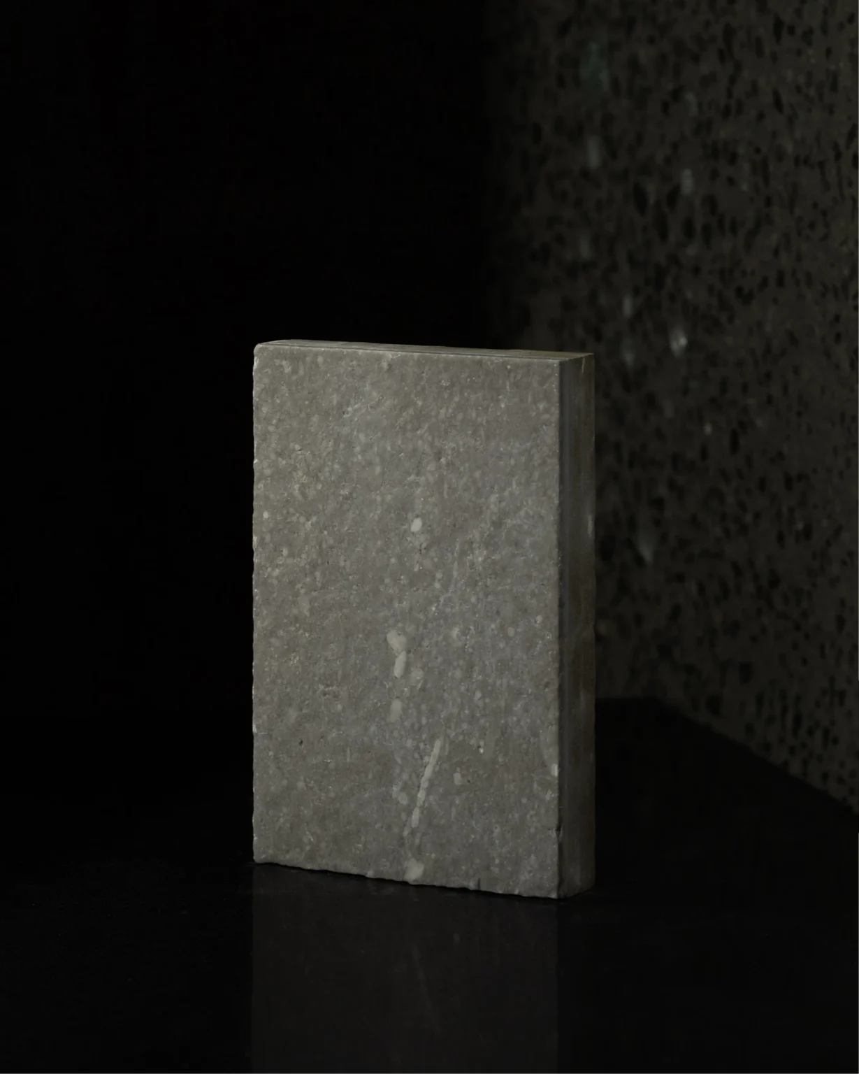 BEAUVAIS_LEATHERED_PORCELIA_RMS_TRADERS (2)