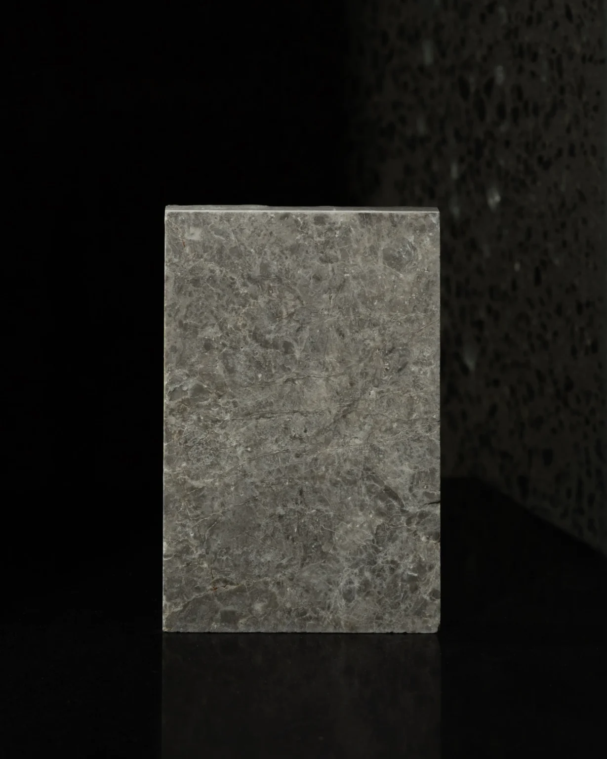 ICE_GREY_LEATHERED_PORCELIA_RMS_TRADERS (4)