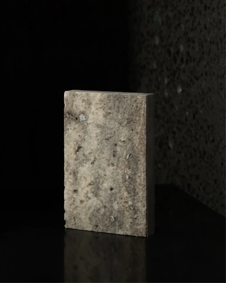 LIGHT_SILVER_BROWN_LEATHERED_PORCELIA_RMS_TRADERS (2)
