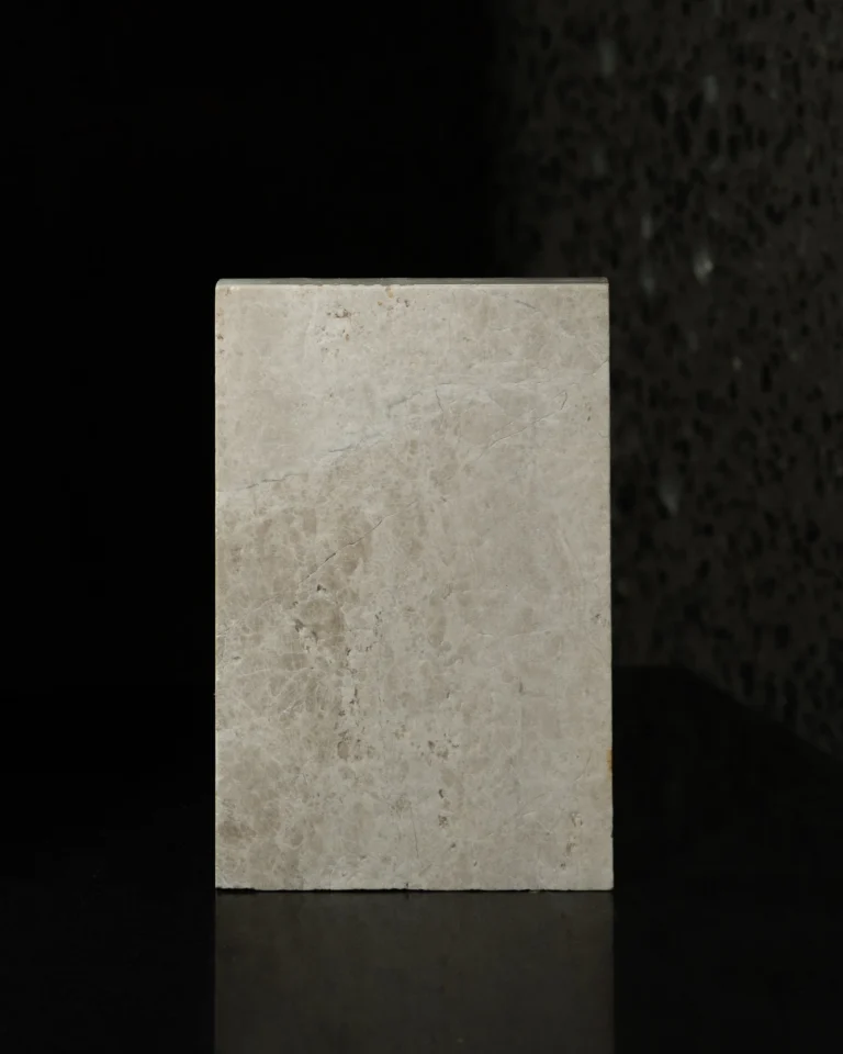 PAPILLON_ACID_WASH_PORCELIA_RMS_TRADERS (4)