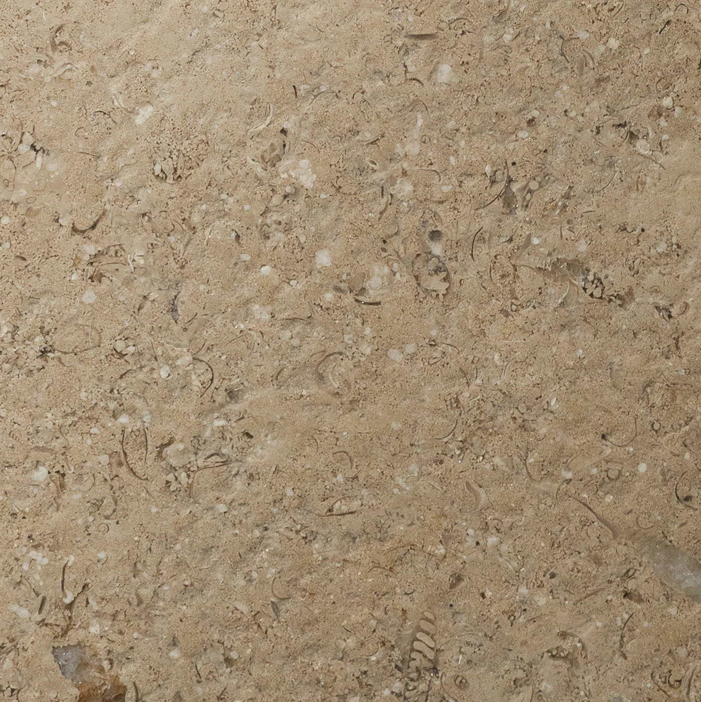 Search Products Natural Stone - RMS Traders