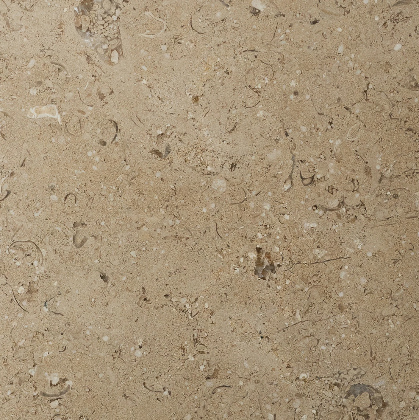 Search Products Natural Stone - RMS Traders