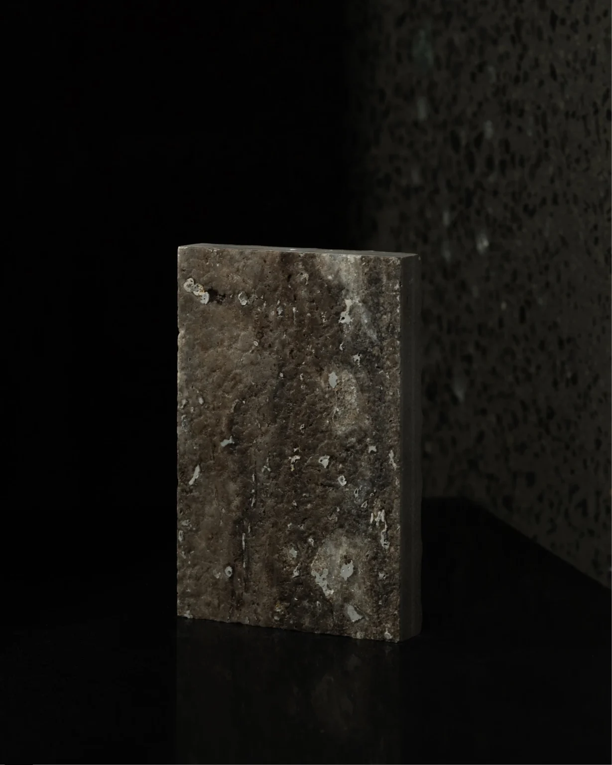 TITANIUM_LEATHERED_PORCELIA_RMS_TRADERS (2)