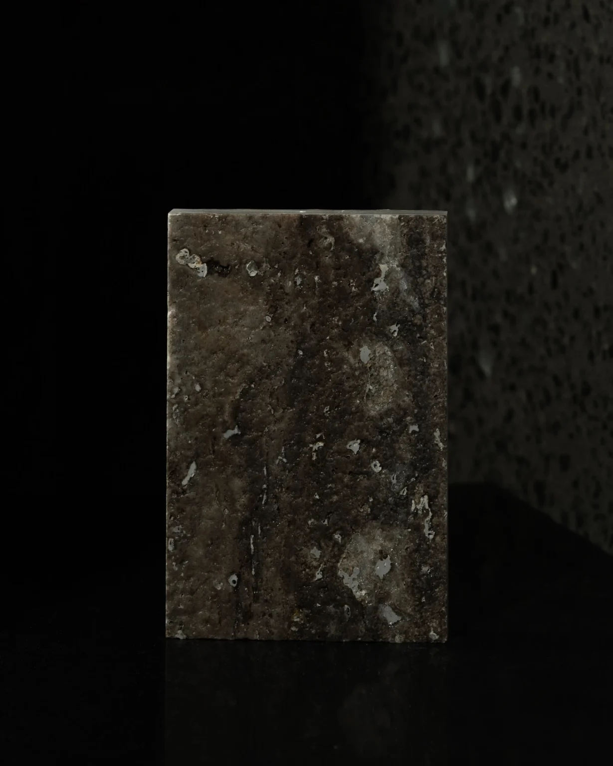 TITANIUM_LEATHERED_PORCELIA_RMS_TRADERS (4)