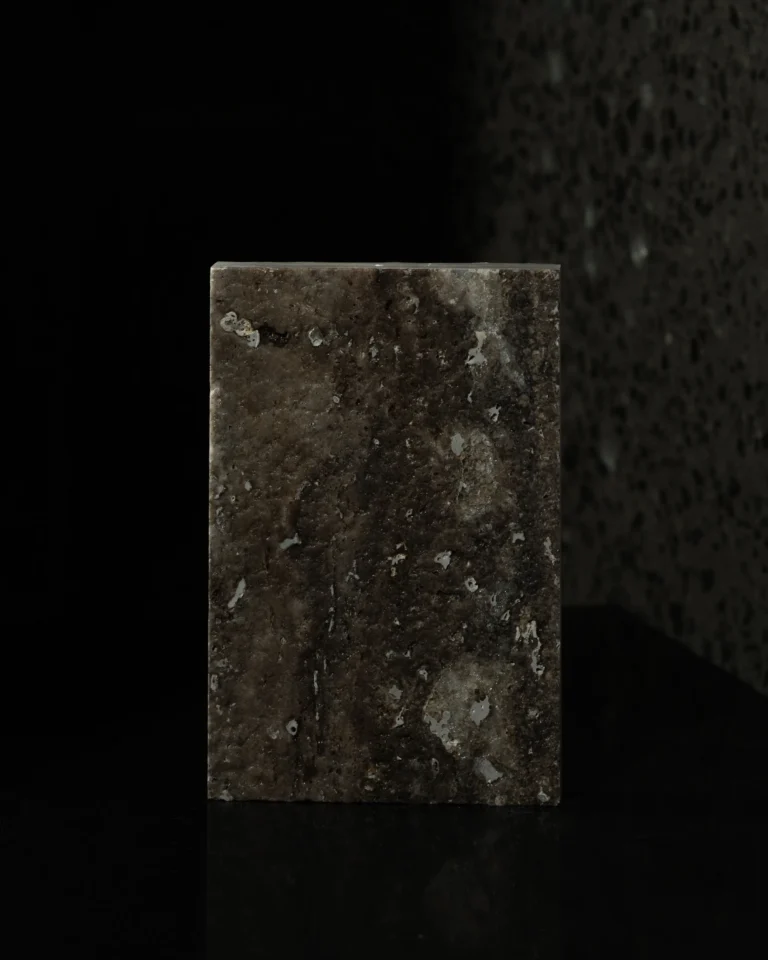 TITANIUM_LEATHERED_PORCELIA_RMS_TRADERS (4)